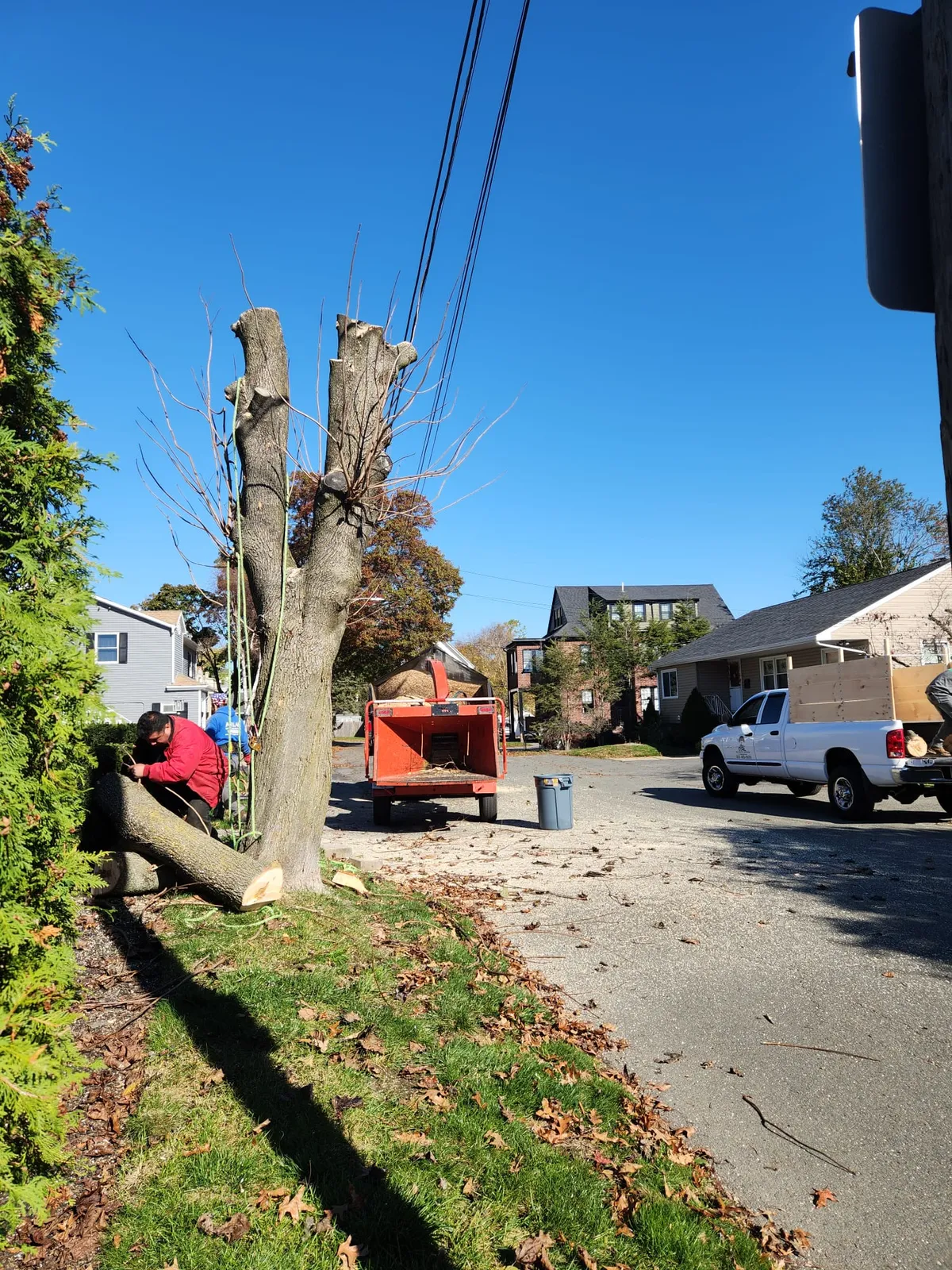 GRL Landscaping & Tree Services