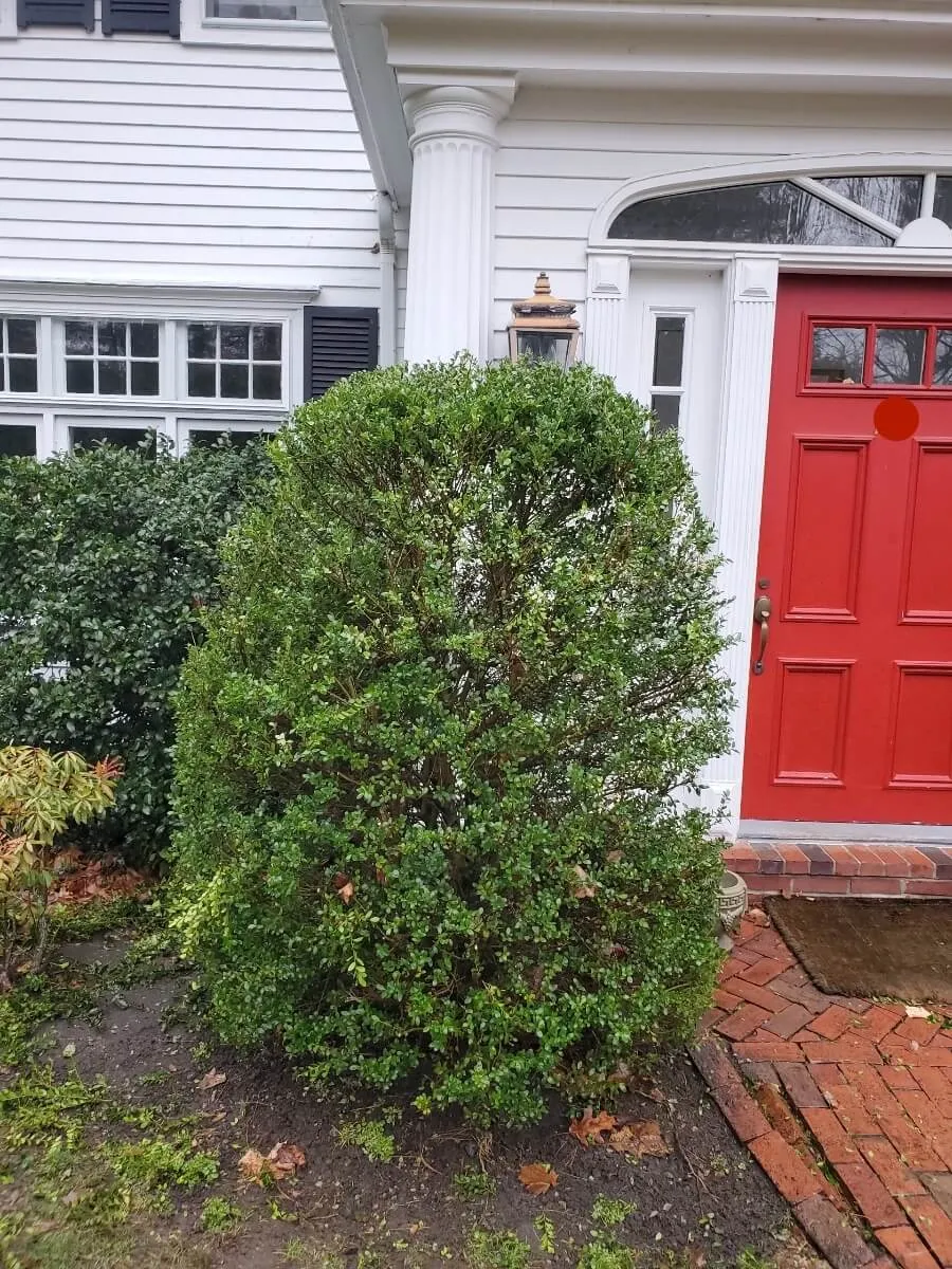 work photo from tjcollinslandscaping.com