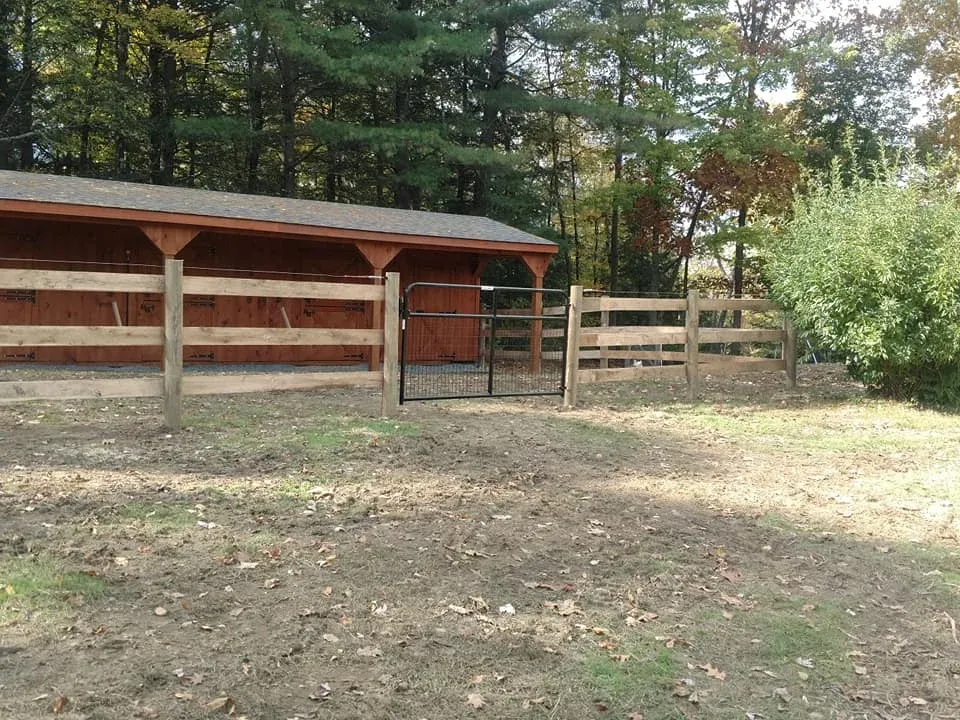 work photo from bastonisfence.com