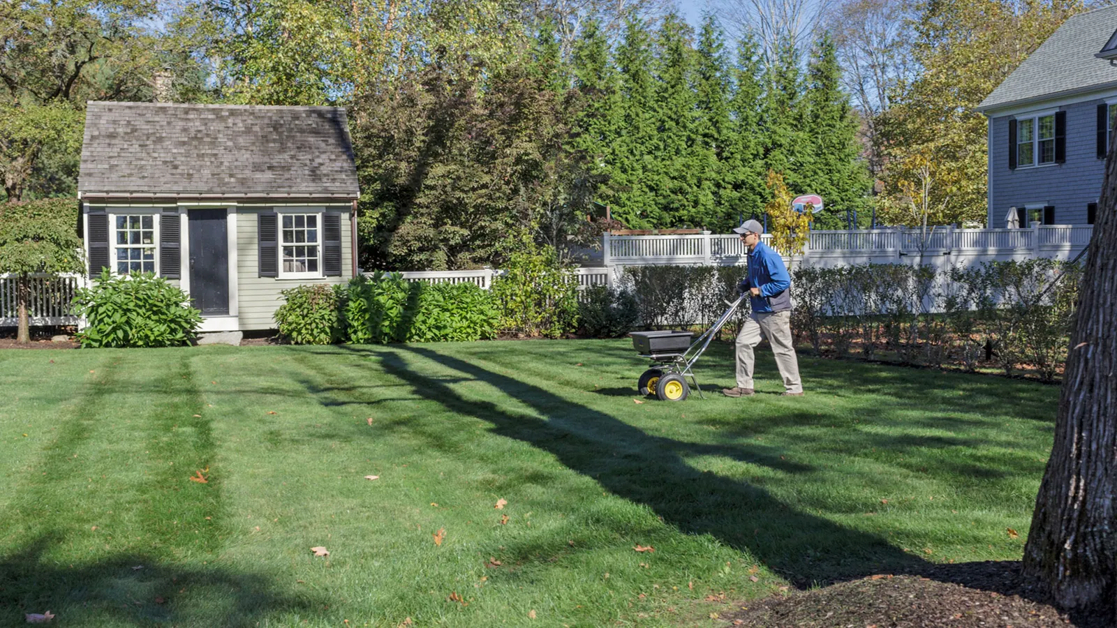 work photo from naturaltree.com