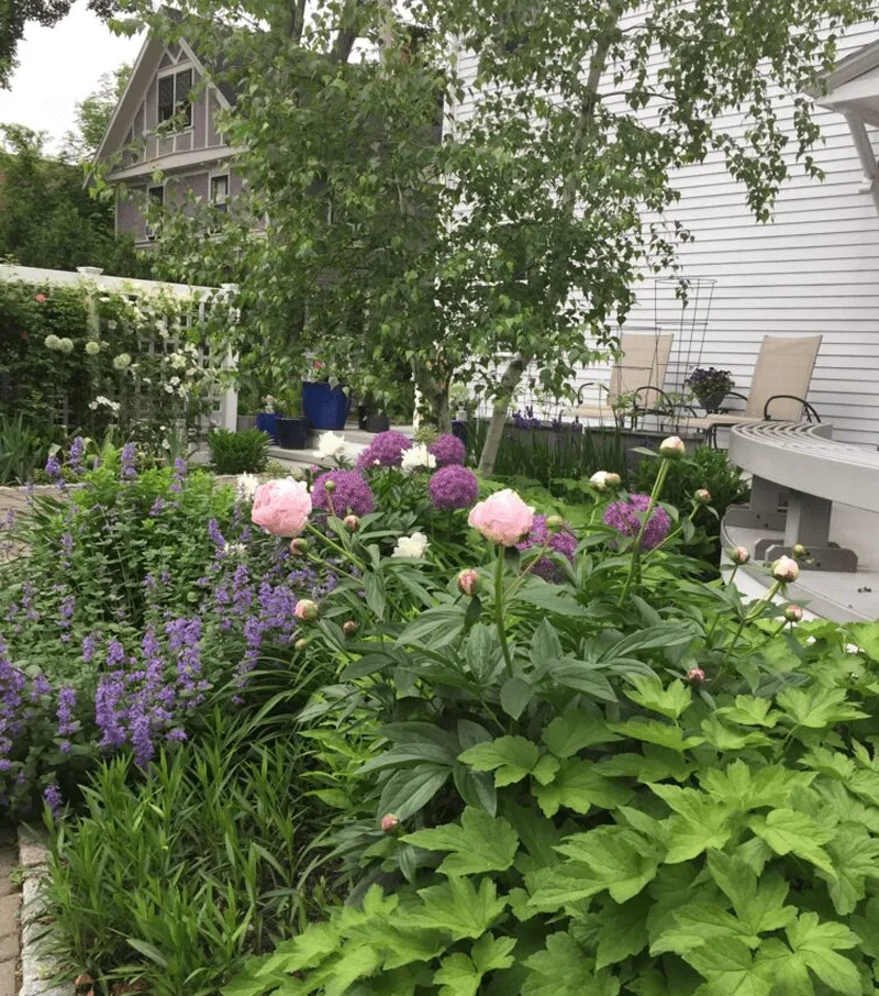 Garden with pink and purple flowers, green foliage, a small round table, and chairs near a white house with visible upper windows.