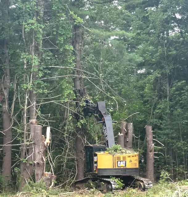 work photo from bedfordtrees.com