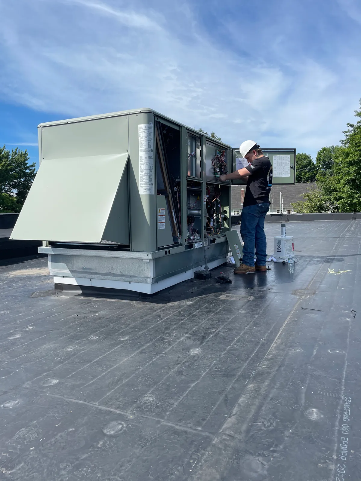 work photo from Google listing