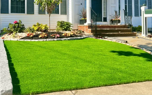 Artificial Turf