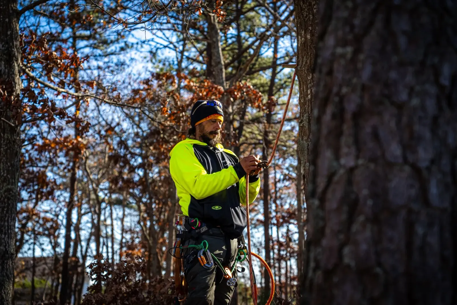 Tree climbing workwear