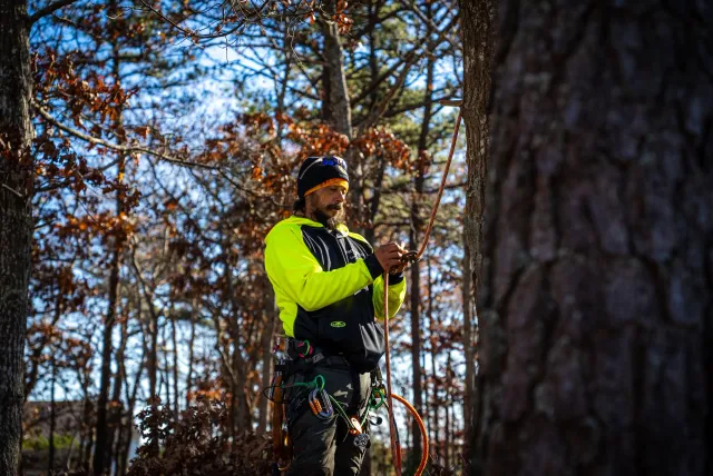Tree climbing workwear