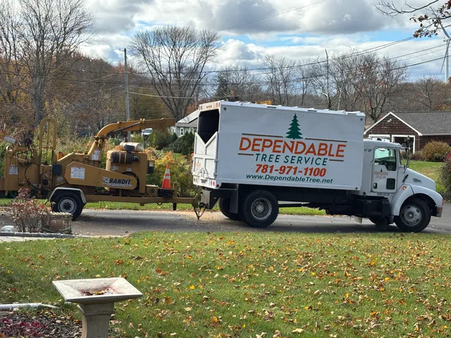 DEPENDABLE TREE SERVICE work photo