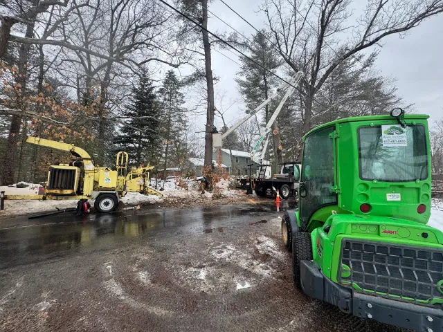 Brush & Debris Removal