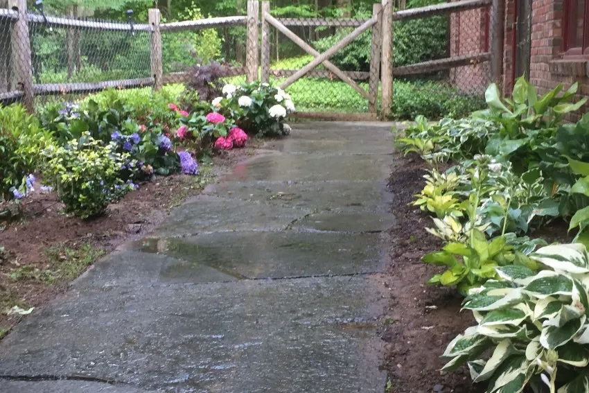 Planting & Removal