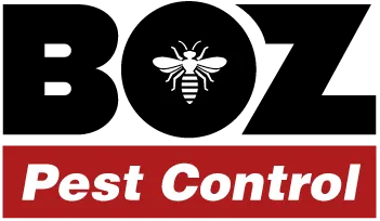 Boz Pest Control work photo