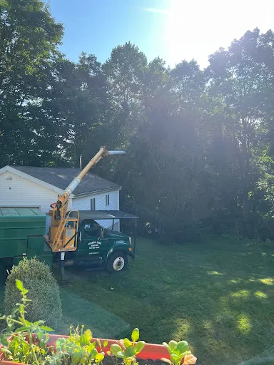 Turner Tree Services work photo