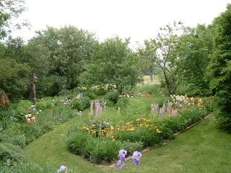 Flowering perennial garden bordered by lawn and mature trees