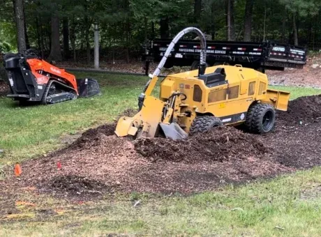 work photo from technicaltreeservice.com