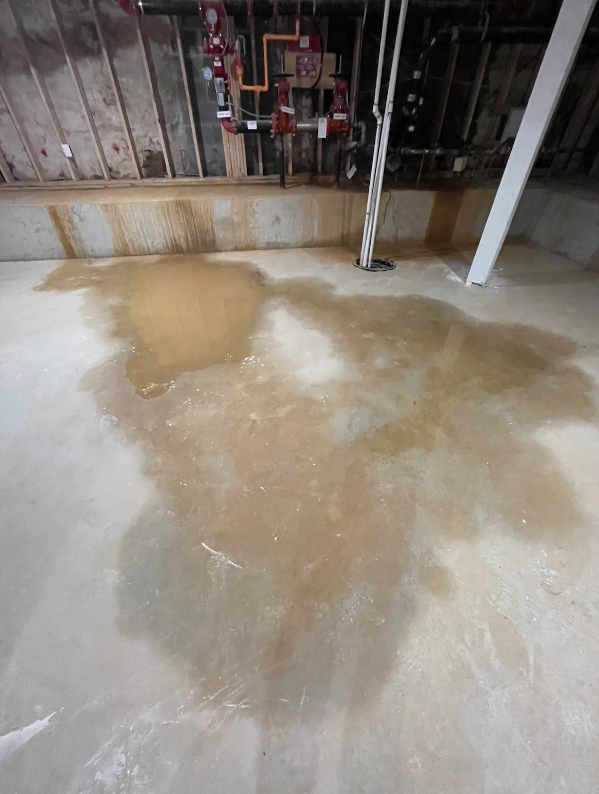 Standing water in basement requiring waterproofing