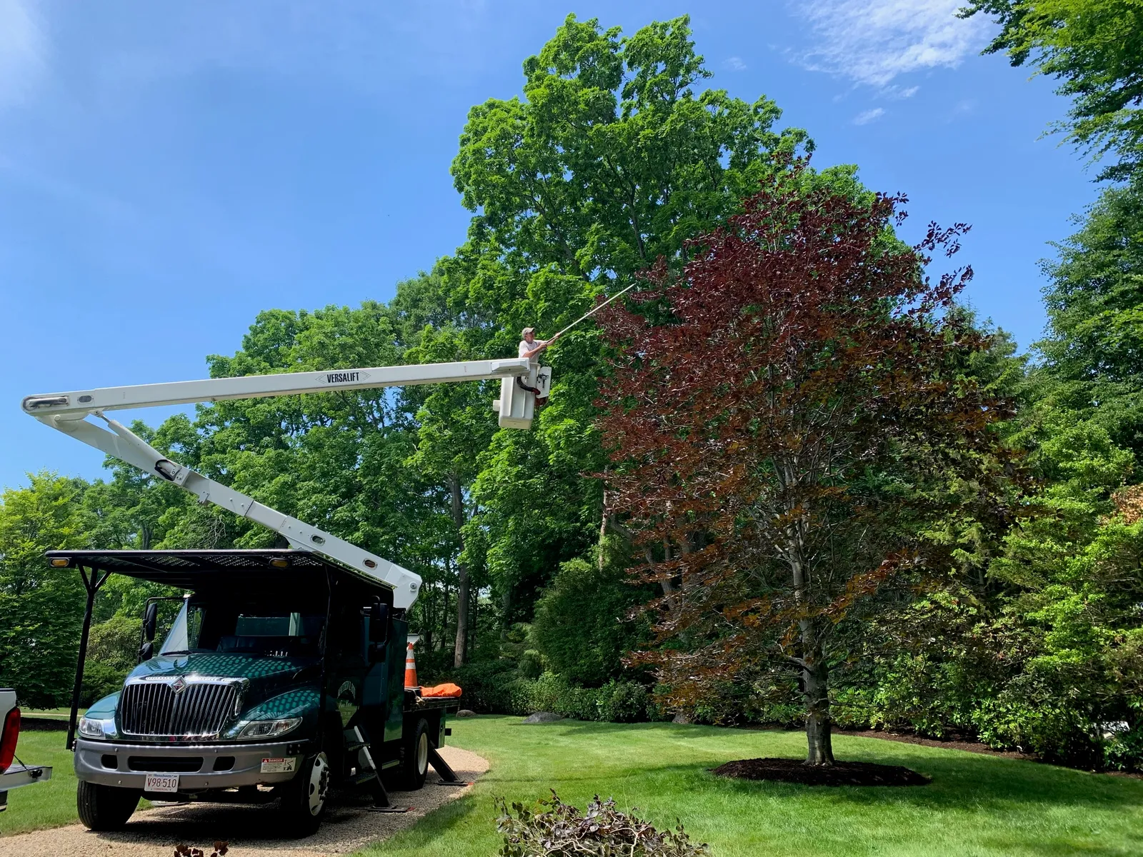 work photo from Google listing