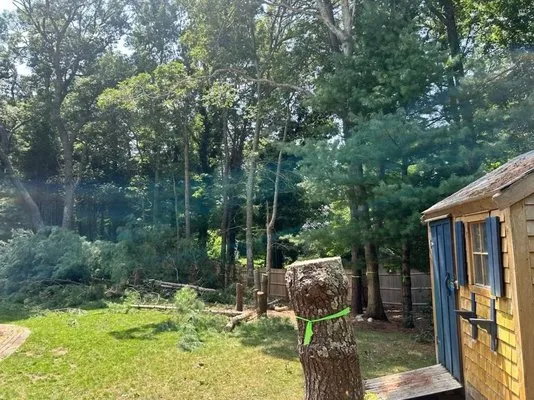 Eager Beaver Tree Services researched project photo