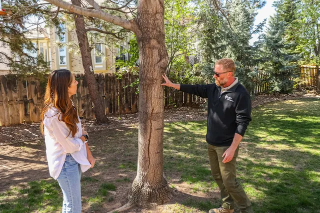 work photo from arborcarespecialists.com