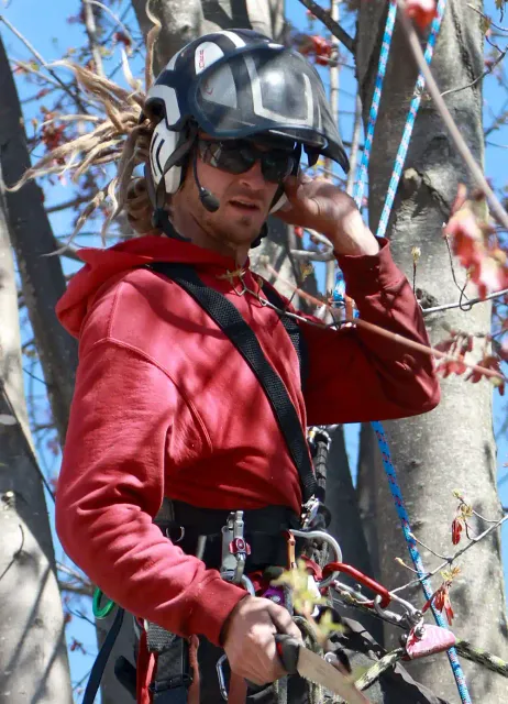 work photo from aboveandbeyond-treeservice.com