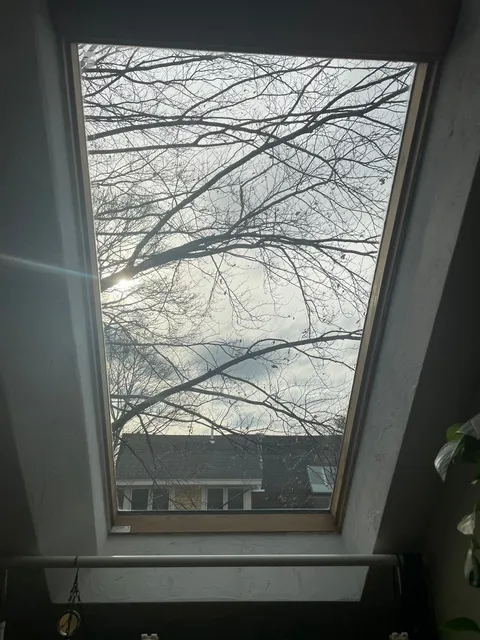 Thunder Painting Window Gutter Cleaning researched project photo