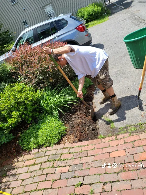 Musso Landscaping