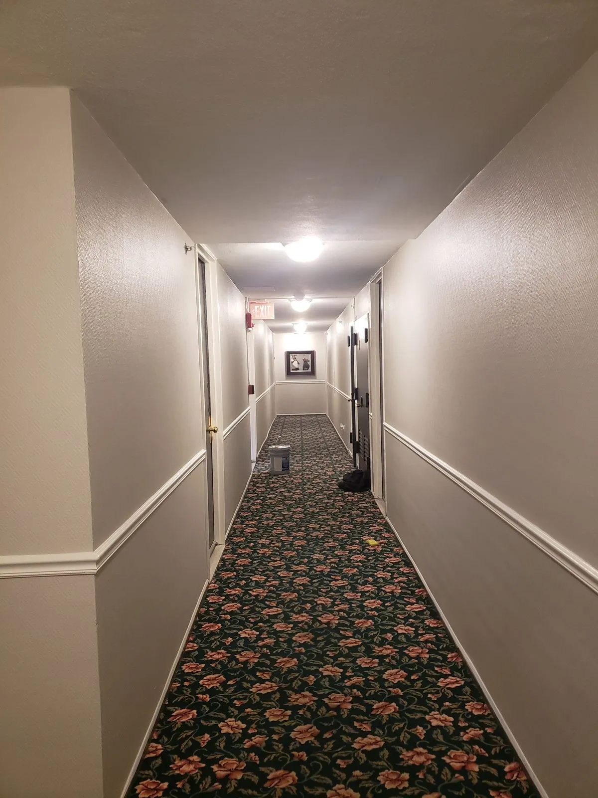 Apartment building corridor after repainting with chair rail detail