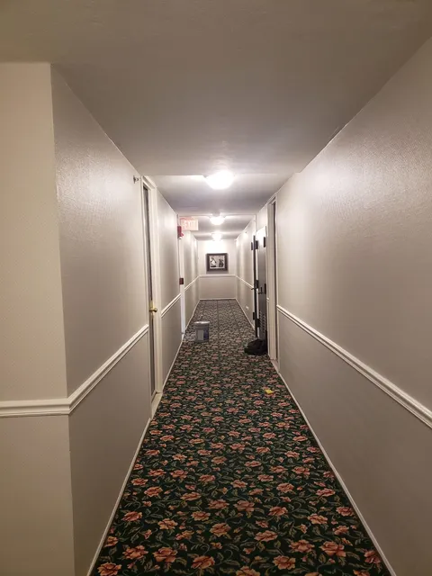 Apartment building corridor after repainting with chair rail detail