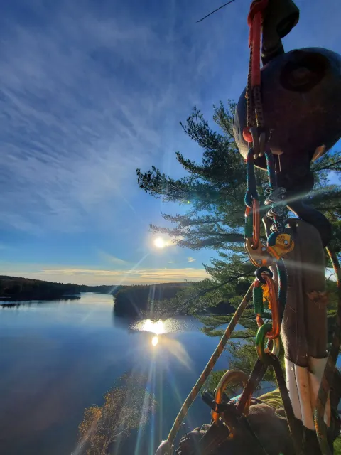 A person is standing next to a tree overlooking a lake.