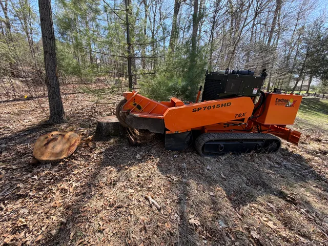 Hungry Beaver Stump Grinding work photo