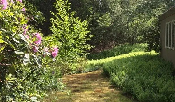 work photo from advancedlandscapinginc.com