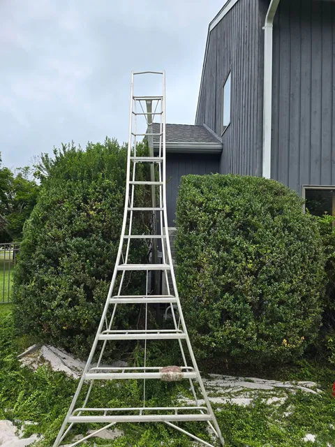 A tall, metal ladder is set up near a dark gray house and green bushes, possibly for trimming. The sky is overcast.