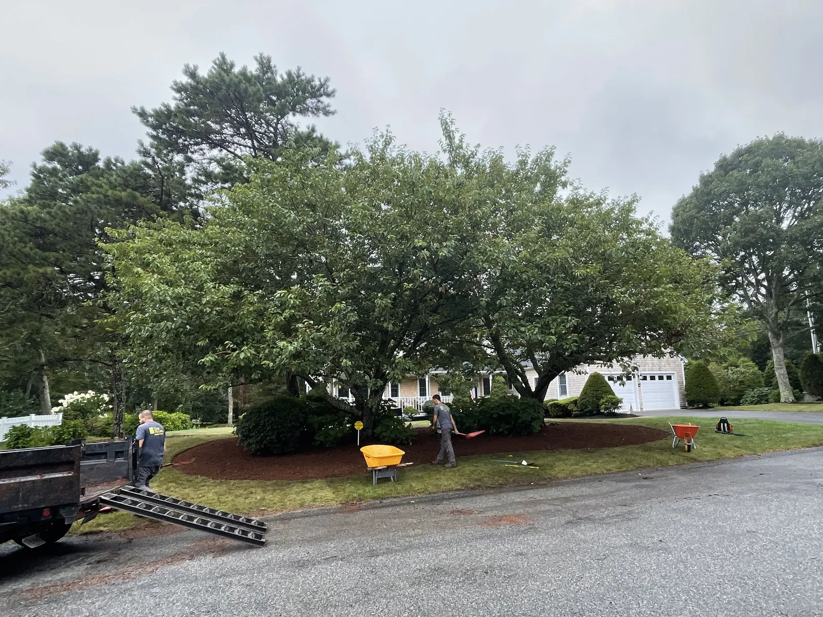 work photo from Google listing