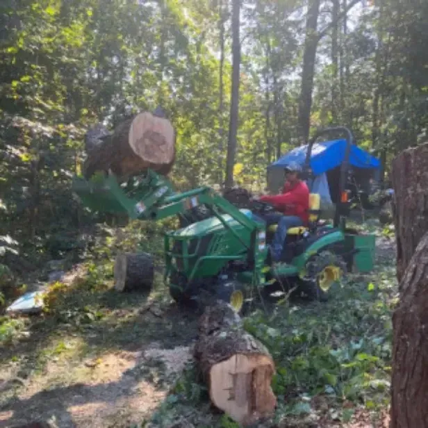 Professional Tree Removal Company