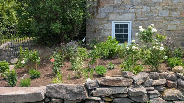 Wildflower Meadows Landscaping & Design work photo