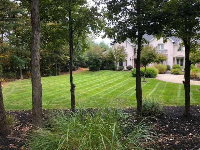 Sustainable Lawn Care researched project photo