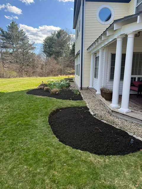 Yard after spring cleanup