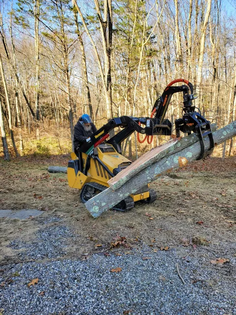 A.Kreta and Son Tree and Stump Removal work photo