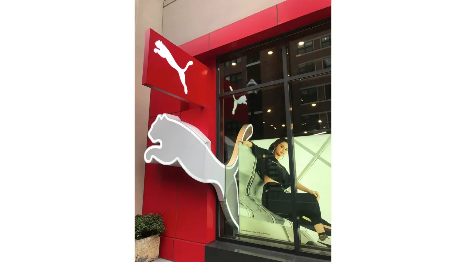 puma exterior.jpg