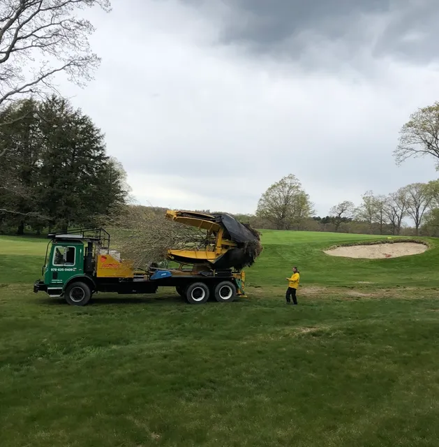 Acorn Tree & Landscaping inc. researched project photo