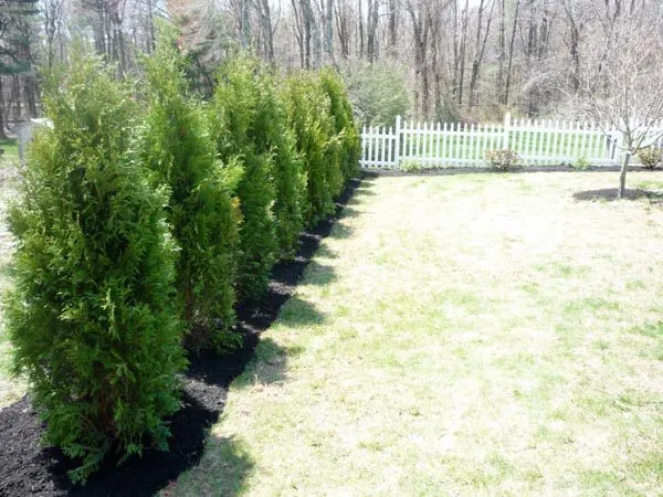 work photo from northernlandscapecorp.com