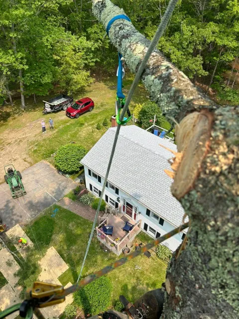 work photo from soultreecare.com