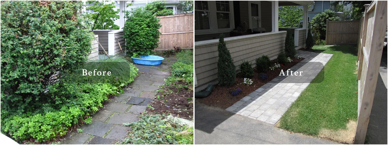 appleton st Landscaping