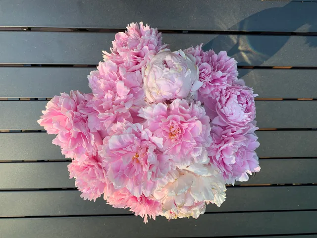 Angela Rose Gardens, LLC work photo