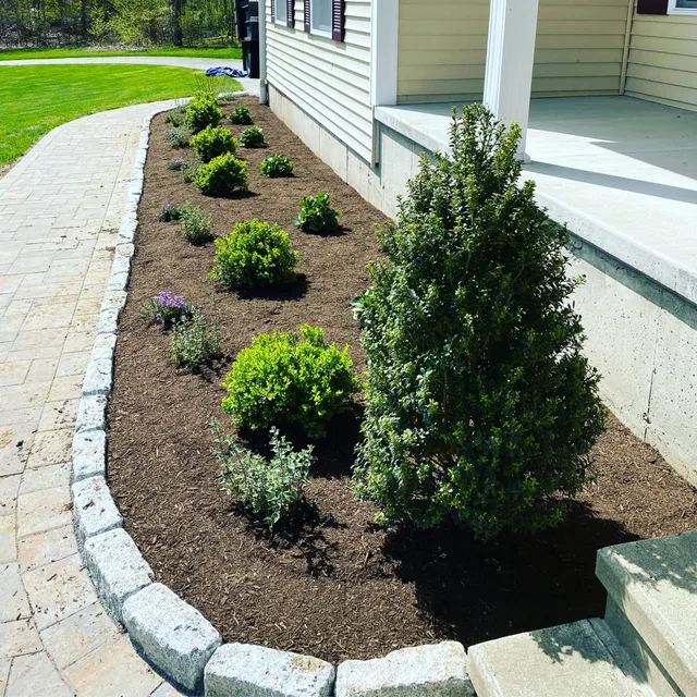 work photo from plantdesigntherapy.com