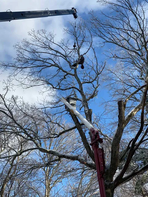 work photo from northsmithfieldtreeservice.com