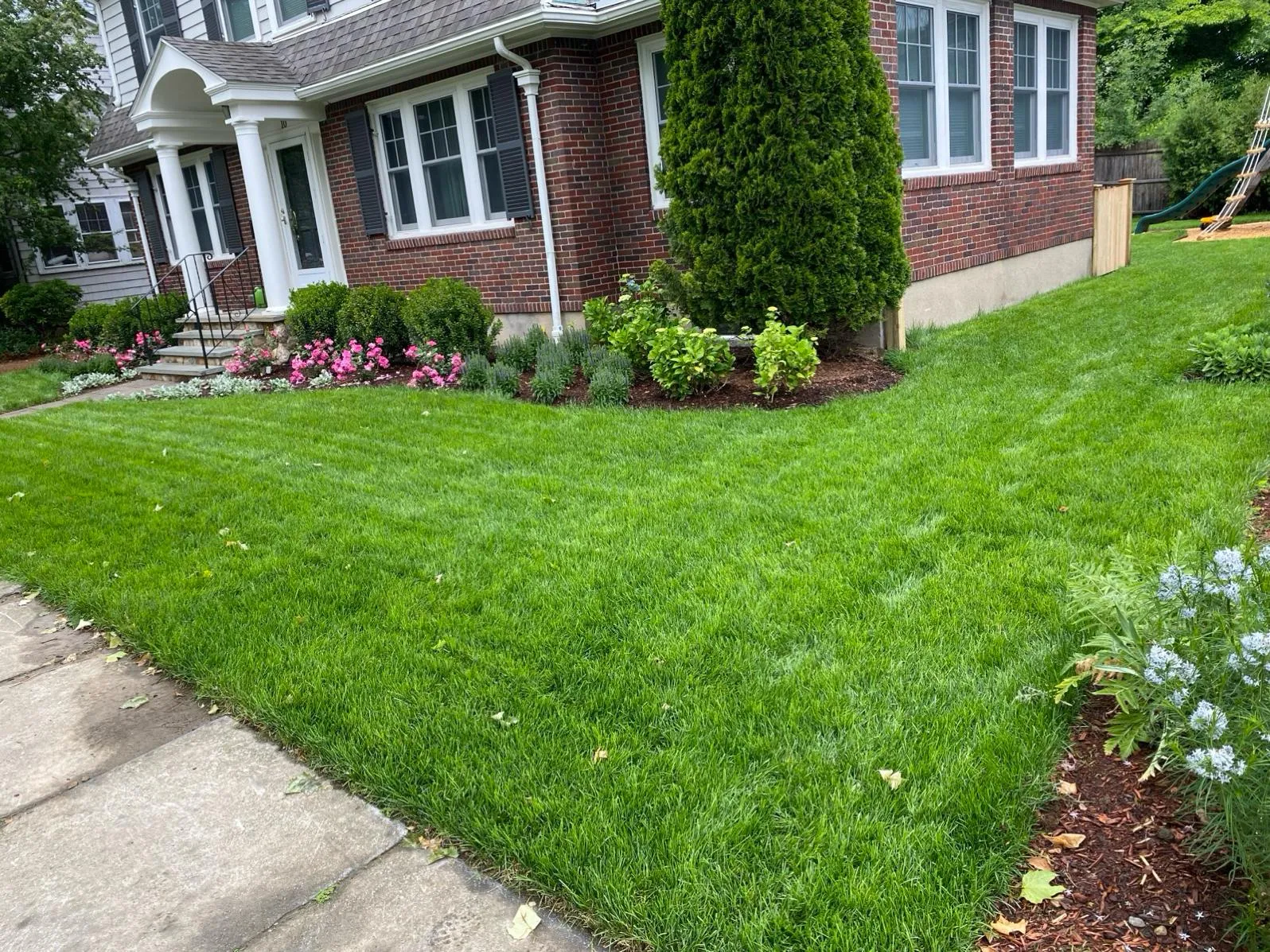 Blue Costa Landscape and Construction LLC