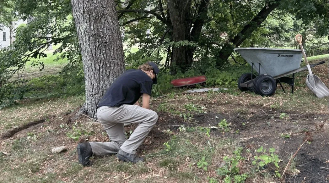 Professional Yard Cleanup