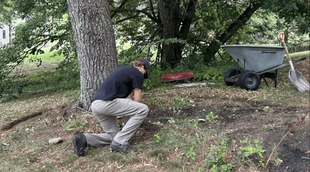 Professional Yard Cleanup