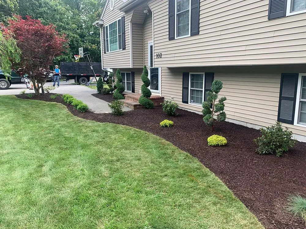 House with mini garden.