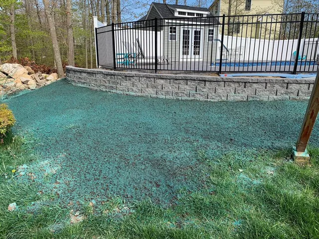 Freshly mowed lawn with mowing lines