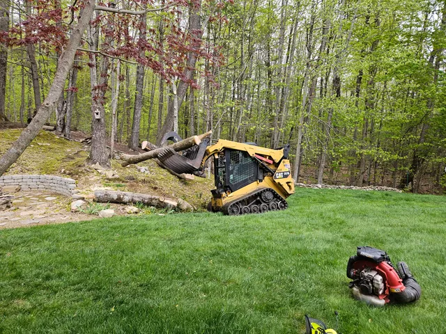 JRL Tree Services Construction work photo